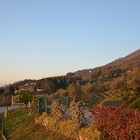 Locazione Turistica Villa Delle Rose Ассизи Экстерьер фото